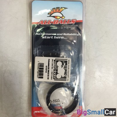 Сальники ALL BALLS 55-114 43x53x9.5 - купить Нефтекамске