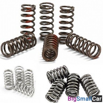 Пружины сцепления FERODO FSS0114 - купить Нефтекамске