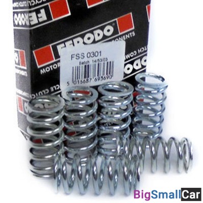 Пружины сцепления FERODO FSS0301 - купить Нефтекамске