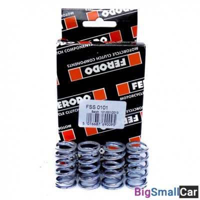 Пружины сцепления FERODO FSS0101 - купить Нефтекамске